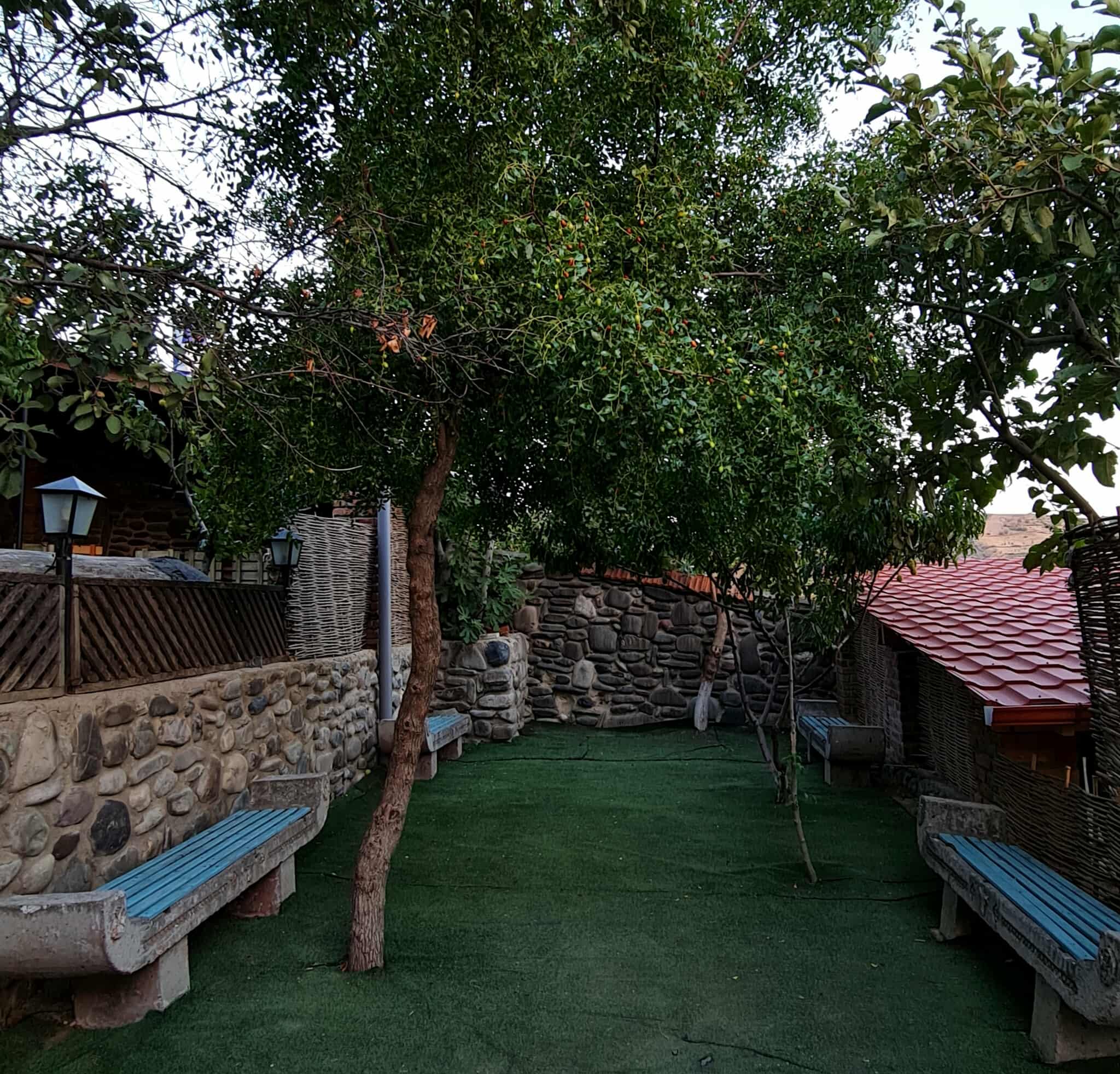 Image 10